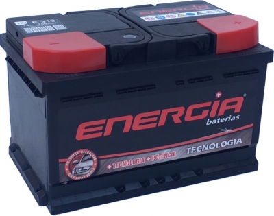E313